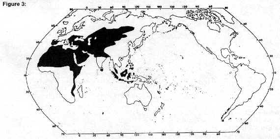 Map-Spread of HGM.jpg (188340 bytes)